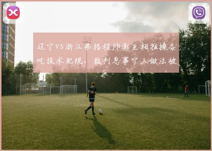 辽宁vs浙江弗格程帅澎互相推搡各吃技术犯规,裁判息事宁人做法被指掩盖争议